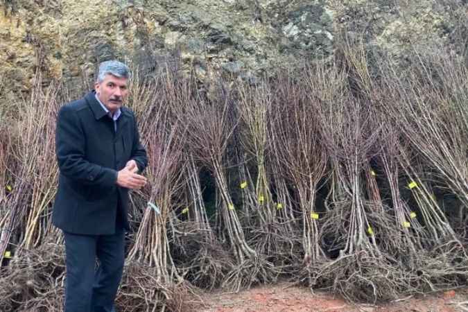 Akdağmadeni’nde maliyetine meyve fidanı satışı başladı