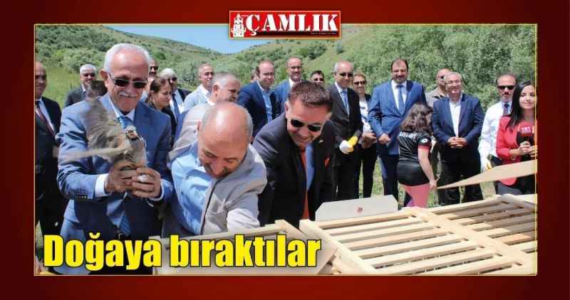 Bir şehir efsanesi