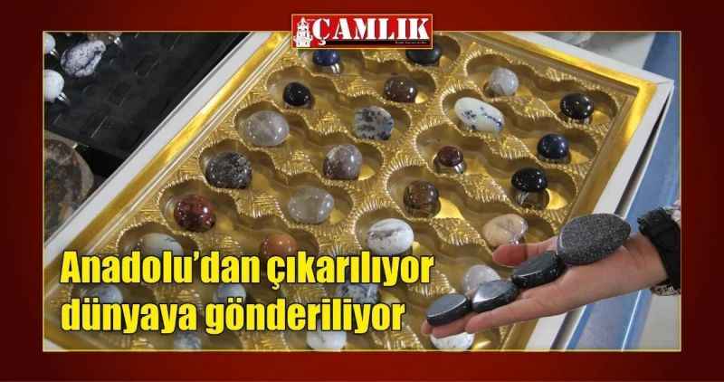 Anadolu'dan çıkarılıyor dünyaya gönderiliyor