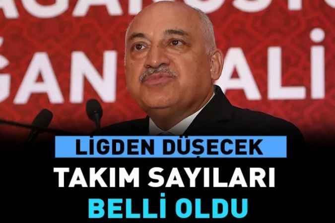 Türkiye Futbol Federasyonu ligden düşecek takım sayılarını açıkladı