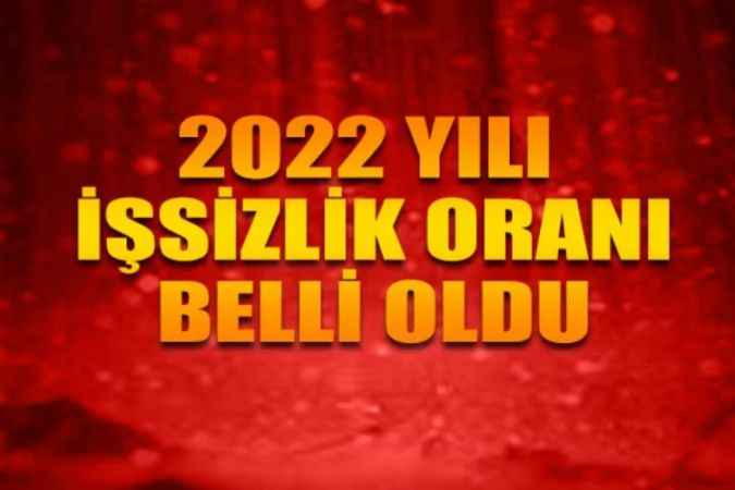 İşsizlik Oranı 2022 Yılında Yüzde 10,4 Oldu