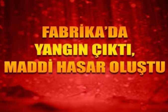 Artvin'in Kemalpaşa İlçesindeki ÇAYKUR Fabrikası'nda Yangın