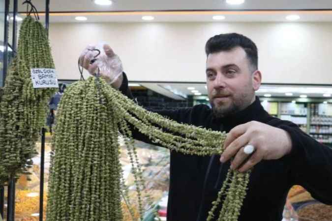 Kansere Bile Çare, Fiyatı Altınla Yarışıyor