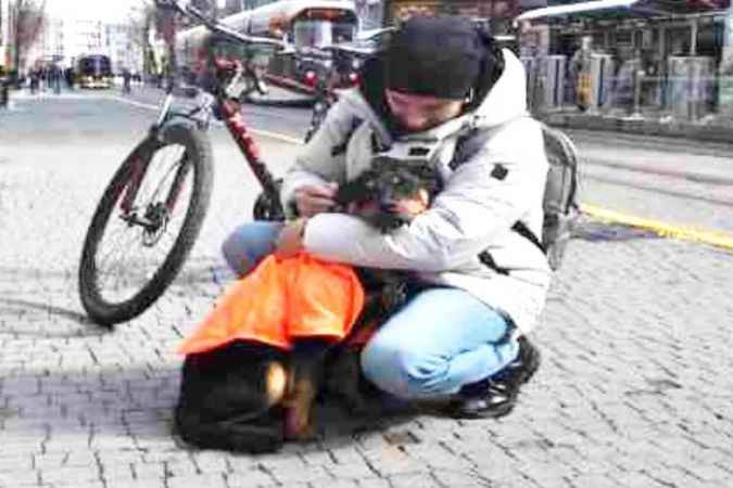 Kayıp Köpeğe Duyarlı Vatandaş Sahip Çıktı