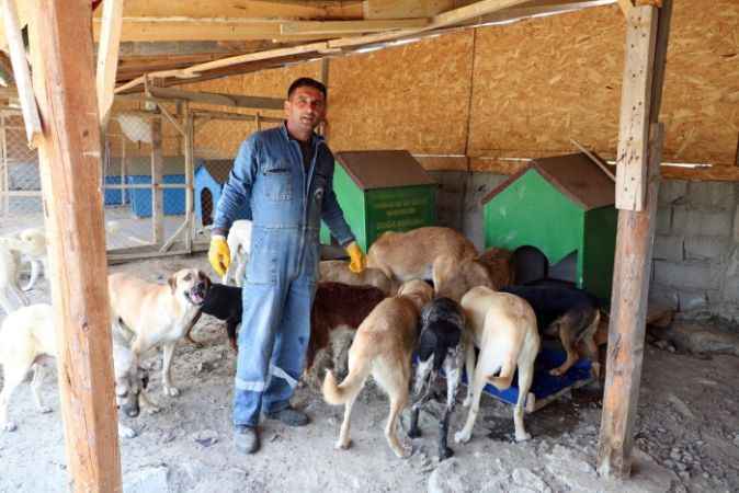 Vaktinin çoğunu sadık dostları sokak köpeklerine adadı