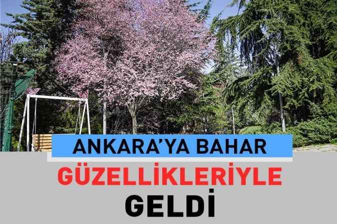 Keçiören’deki park ve bahçelerde bulunan ağaçlar ve süs bitkileri çiçek açtı