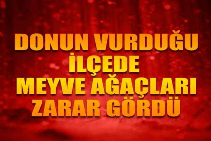 Zirai Donun Vurduğu İlçede Meyveye Ulaşmak Hayal Oldu: 'Kaybımız Çok Büyük'