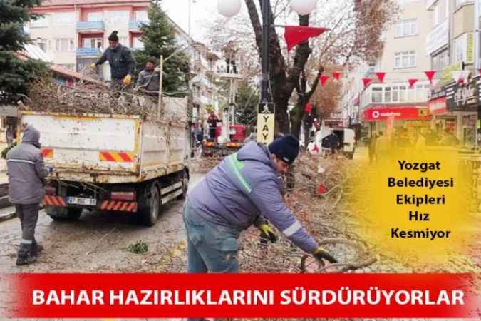 Yozgat Belediyesi Ağaçlara Bahar Bakımı Yapıyor