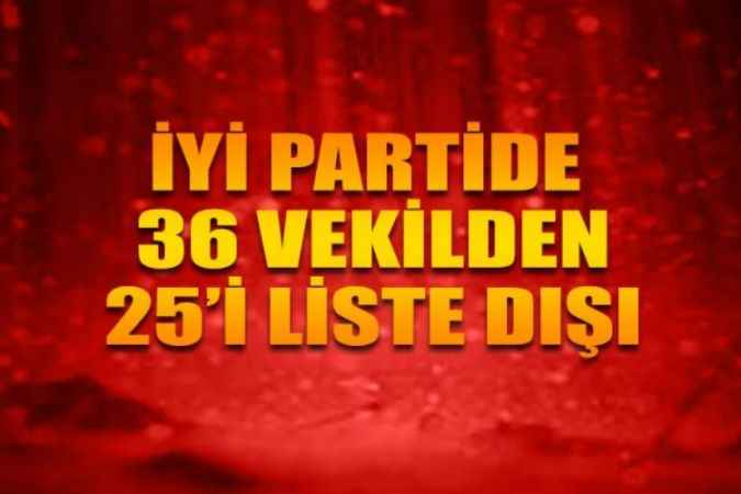 İYİ Parti Aday Listesi: Alparslan Türkeş’in Kızı Ayyüce Türkeş Adana’da Liste Başı, 36 Vekilden 25'i Liste Dışı, 9 İlde Adaylar CHP Listelerinde