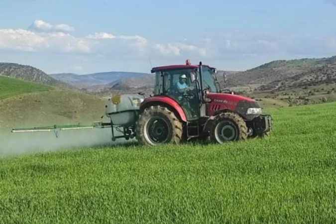 Yabani Otlara Karşı Ekinler İlaçlanıyor