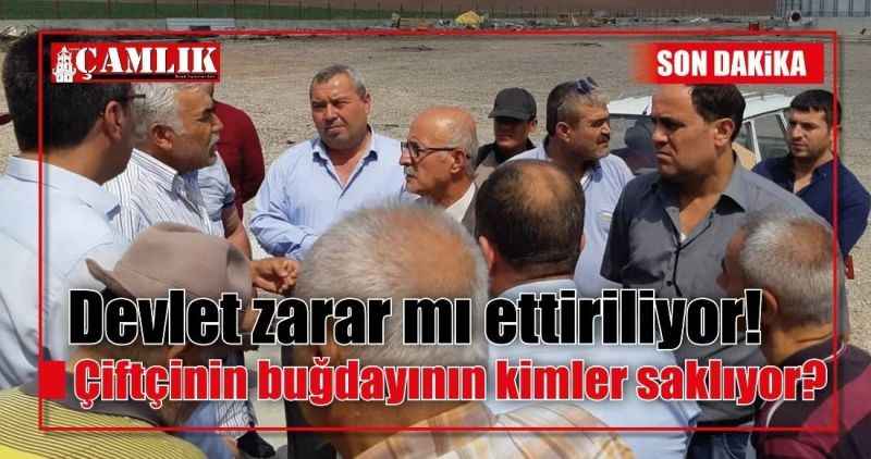 Çiftçinin buğdayını kimler saklıyor?