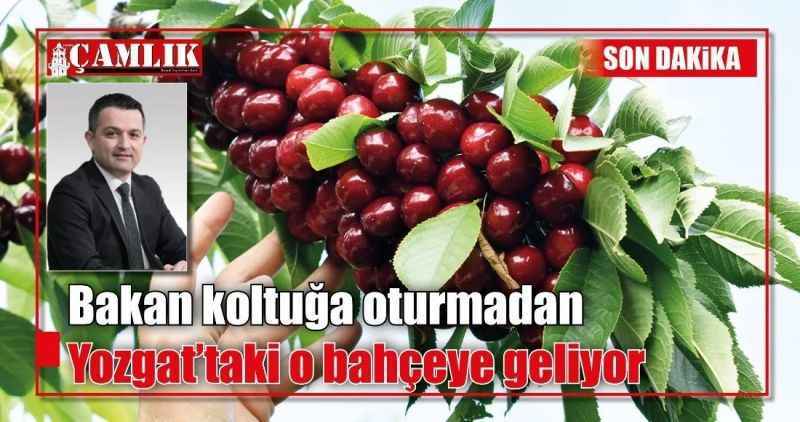 Bakan koltuğa oturmadan  Yozgat'taki o bahçeye geliyor