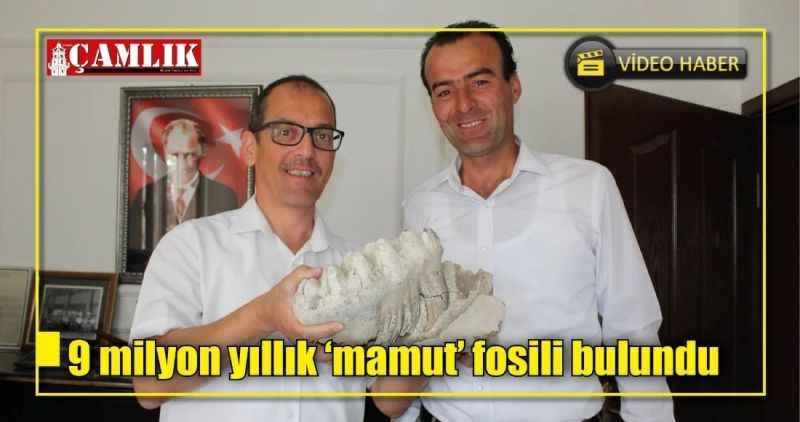 9 milyon yıllık 'mamut' fosili bulundu