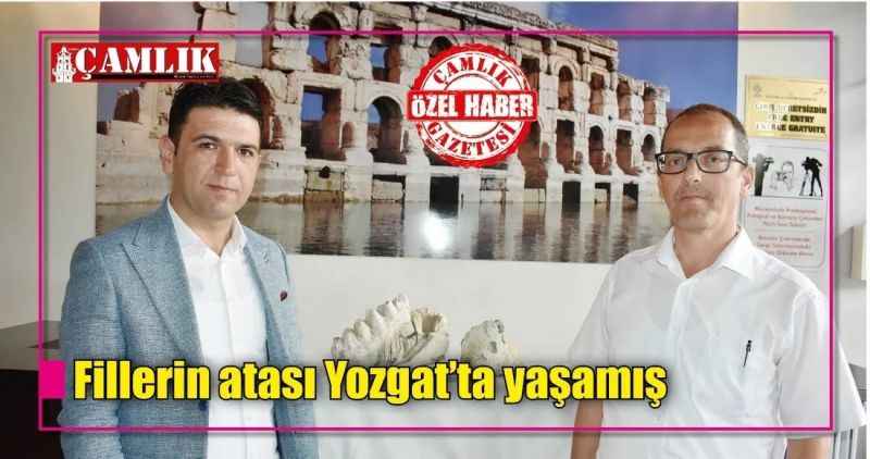 Fillerin atası Yozgat'ta yaşamış