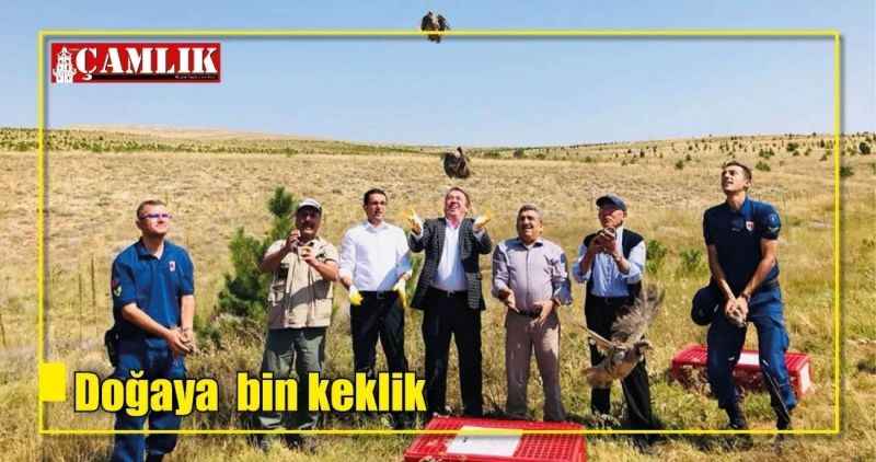 Doğaya  bin keklik