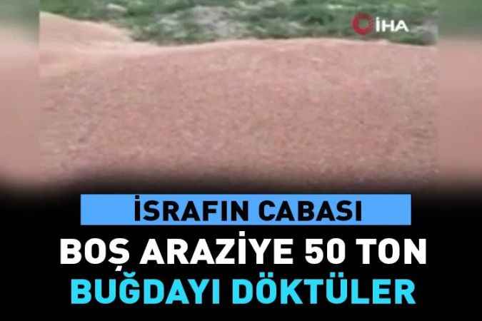 Ankara’da boş araziye 50 ton buğday dökülmüş vaziyette bulundu