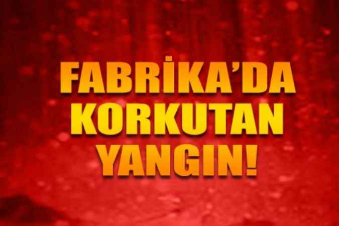 Çankırı'da Korkutan Fabrika Yangını: Siyah Dumanlar Gökyüzünü Kapladı