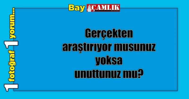 By Çamlık Yazıyor