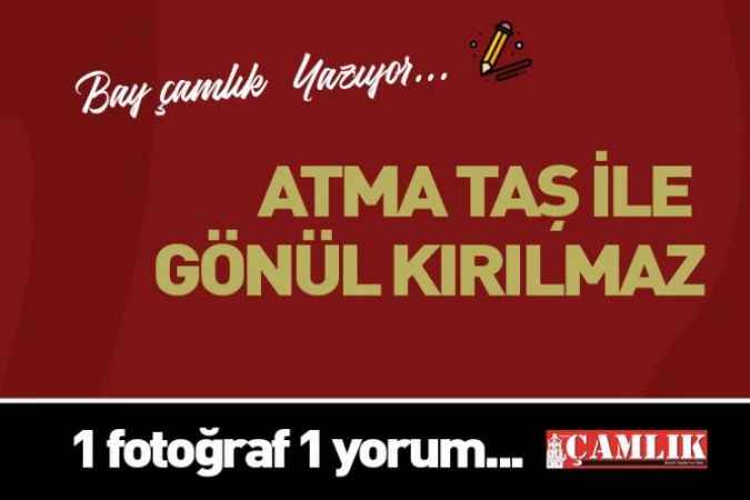 By Çamlık yazdı.. Atma taş ile gönül kırılmaz