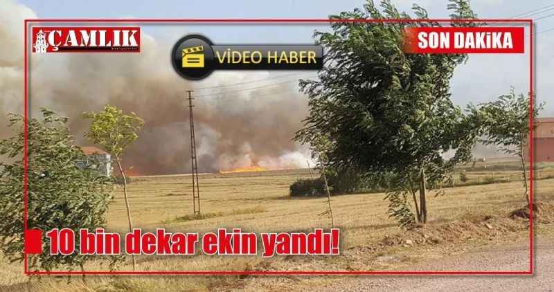 10 bin dekar ekin yandı!