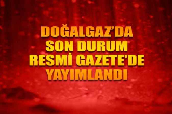 Konutlarda 1 Ay Boyunca Doğal Gaz Bedeli Alınmamasına İlişkin Cumhurbaşkanı Kararnamesi Resmi Gazete'de
