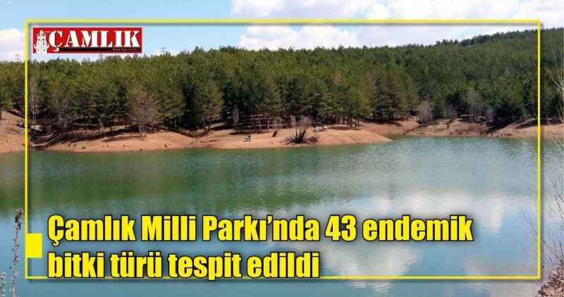 Çamlık Milli Parkı'nda 43 endemik bitki türü tespit edildi