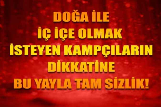 Kampçıların Yeni Adresi