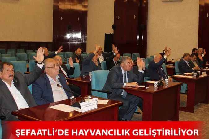 Yozgat İl Genel Meclisi Tarım Orman ve Hayvancılık Komisyonu Başkanı Mehmet Gönül; Şefaatli ilçesinin 703 bin 366 hektar kültür arazisi bulunuyor