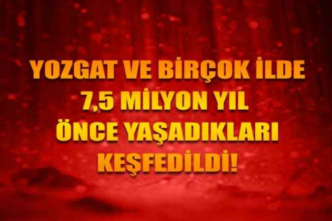 Yozgat, Sivas, Nevşehir, Niğde Ve Birçok Anadolu Toprağında Afrika'daki Hayvanların 7,5 Milyon Yıl Önce Yaşadığı Keşfedildi
