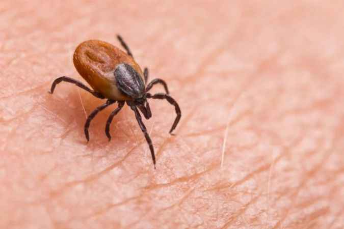 30 Kasım'a kadar bu illerde yaşayan vatandaşlar aman dikkat! Büyük tehlike geliyor