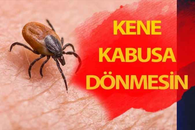 Uzmanlardan Yozgat'ın da içerisinde bulunduğu illere Kene uyarı geldi