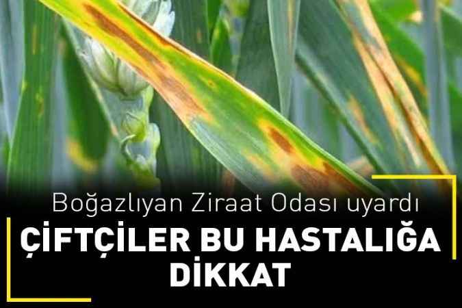 Yozgat Boğazlıyan Ziraat Odası’ndan çiftçiye uyarı