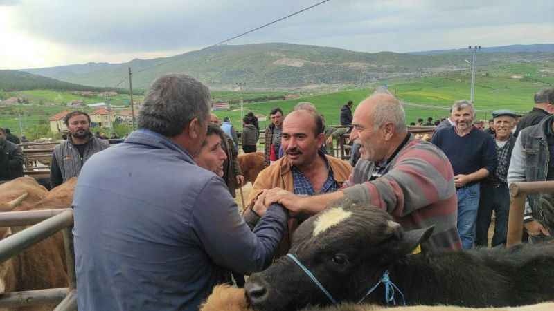 Yozgat’ta canlı hayvan pazarlarında şap hastalığına karşı sıkı tedbirler sürüyor