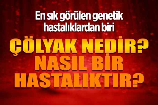 Yozgat Şehir Hastanesi Başhekimi Mustafa Kozan : En sık görülen genetik hastalıklardan biri : Çölyak