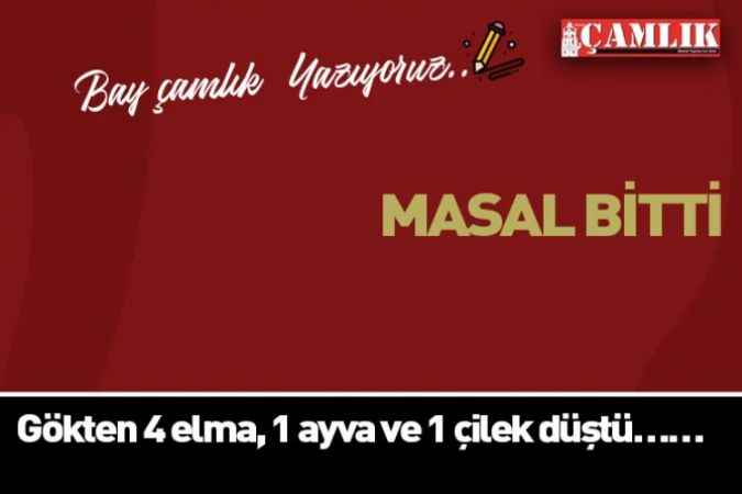 Bay Çamlık yazdı: Masal Bitti..