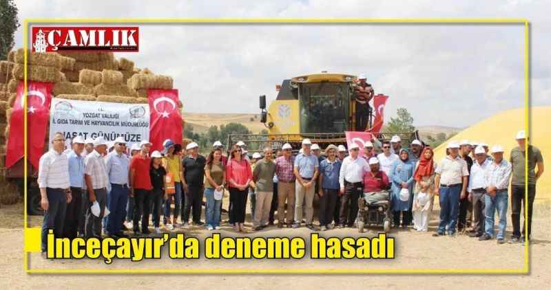 İnceçayır'da deneme hasadı