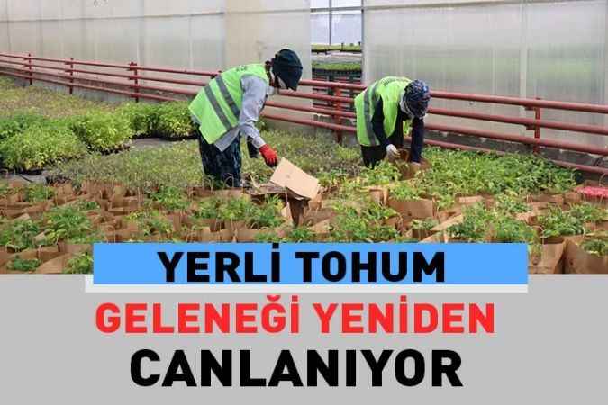 Gölbaşı Belediyesi unutulmaya yüz tutmuş yerli tohum geleneğini yeniden canlandırıyor.