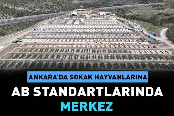 Ankara Büyükşehir Belediyesi tarafından, Karataş Geçici Bakımevi ve Rehabilitasyon Merkezi’nin yapım çalışmaları aralıksız sürüyor.