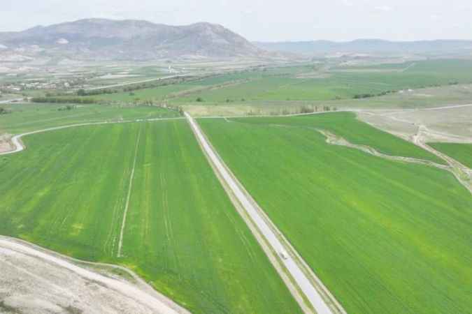 Sivas’ta Yağışlarla Birlikte Bozkırda Umutlar Yeşerdi