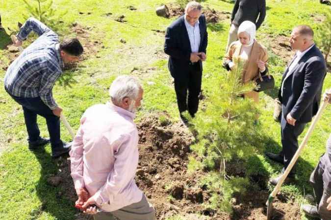 Sivas’ın Ulaş İlçesinde 8 Bin Çam Fidanı Dikildi