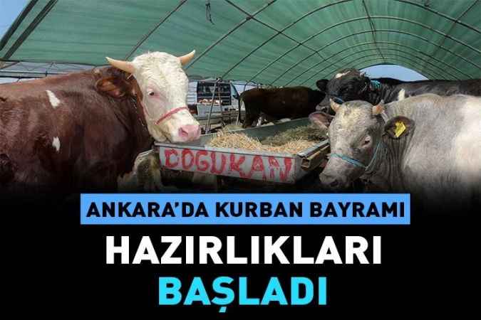 Yenimahalle Belediyesi Yakacık Kurban Satış ve Kesim Alanı’nda kurbanlık satışı yapmak isteyenler için başvurular başlıyor.
