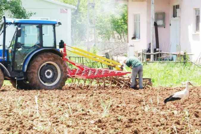 Tokat Beşevler Köyü 40 Yıllık Misafir Leylekleriyle Dikkat Çekiyor