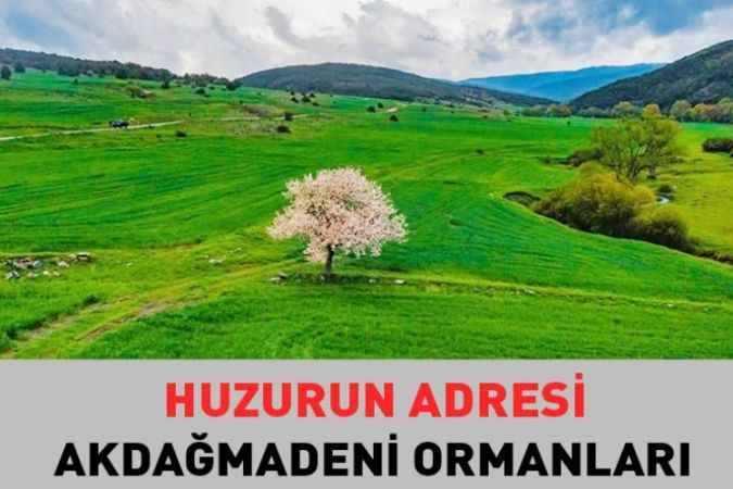 Huzurun Adresi Akdağmadeni Ormanlarının Muhteşem Görüntüleri