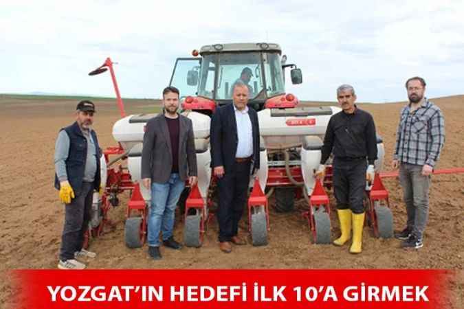 Yozgat’ta hibe destekli yağlık ayçiçeği tohumları toprakla buluşuyor