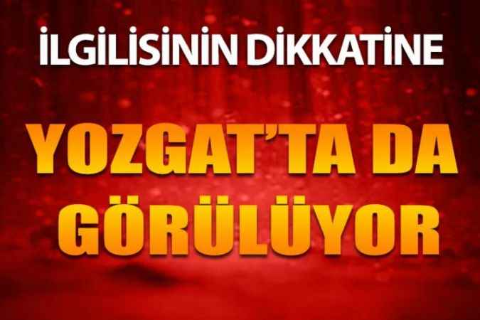 Türkiye'de Yaşayan 500 Türden 350'sini Görüntülemeyi Başardı! Yozgat’ta Görülüyor