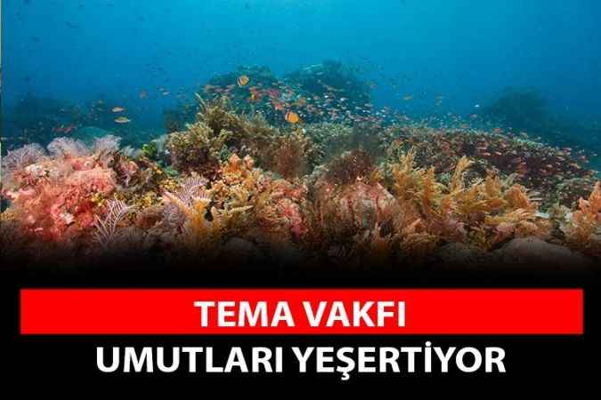 TEMA Vakfı, 22 Mayıs Dünya Biyolojik Çeşitlilik Günü’nde insan faaliyetlerinin dünyadaki canlı çeşitliliği üzerinde yarattığı olumsuz etkilere dikkat çekti