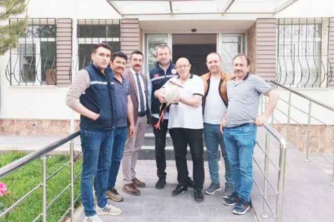 Sivas’ta Yaralı Halde Bulunan Leylek Tedavi Altına Alındı