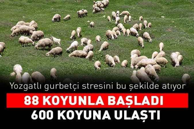Yurt dışının stres ve iş yoğunluğundan bunalan Yozgatlı gurbetçi, 22 yıl sonra köyünde hayvancılığa başladı