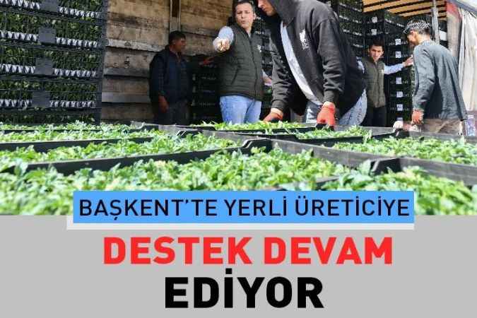Ankara Büyükşehir Belediyesi, 25 ilçenin tamamında Başkentli çiftçilere sebze fidesi desteği sağlıyor.