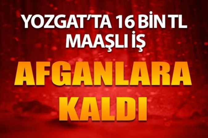 Yozgat'ta 16 Bin Lira Maaşlı İş, Türkler Beğenmeyince Afganlara Kaldı